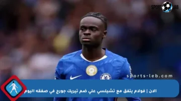 الآن | فولام يتفق مع تشيلسي على ضم تيريك جورج في صفقة اليوم